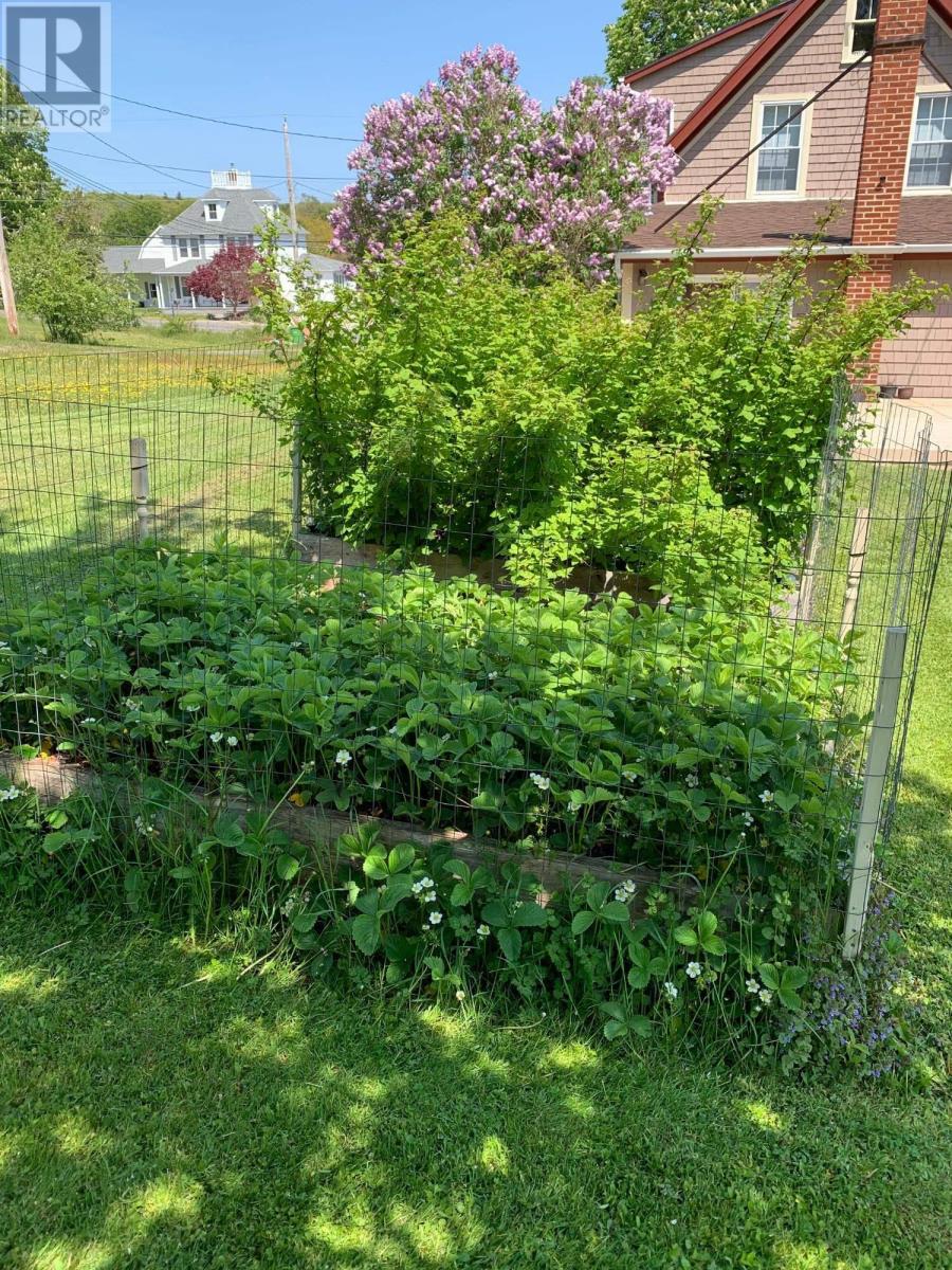 55 Lighthouse Road, Digby, Nova Scotia  B0V 1A0 - Photo 43 - 202603826