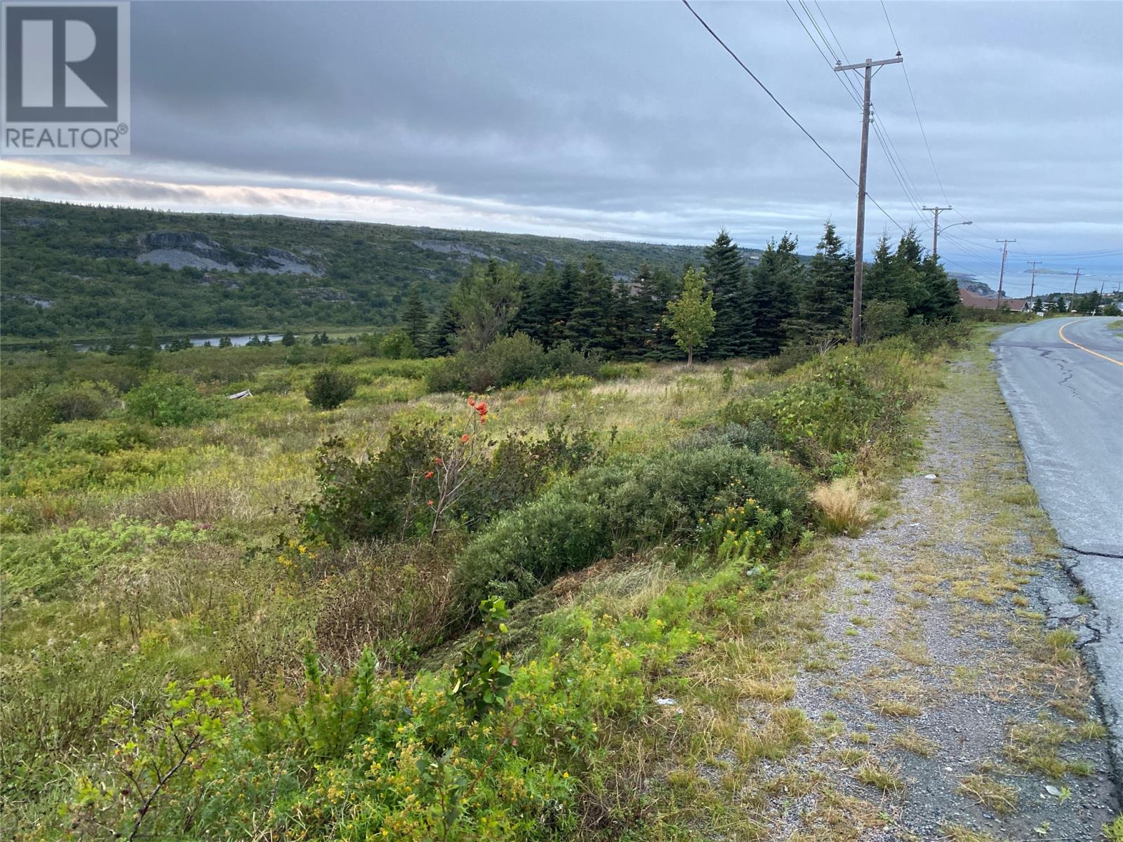 185-189 Bryants Cove Road, Upper Island Cove, Newfoundland & Labrador  A0A 4E0 - Photo 10 - 1296268