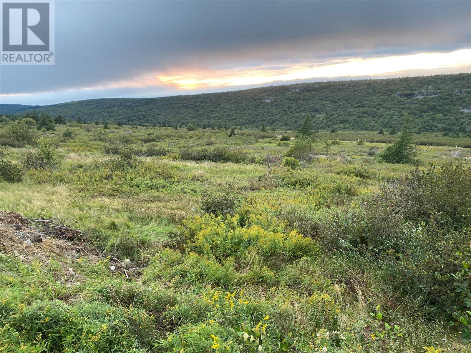 185-189 Bryants Cove Road, Upper Island Cove, Newfoundland & Labrador  A0A 4E0 - Photo 11 - 1296268