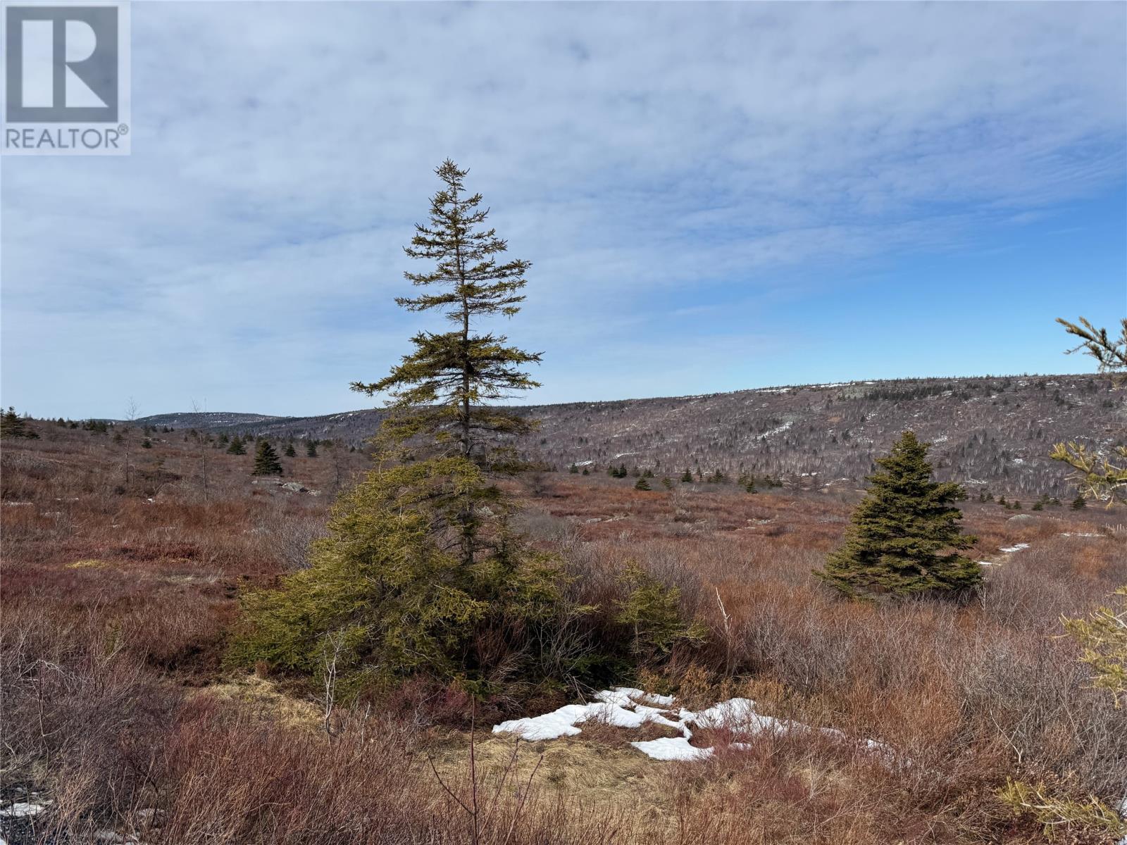 185-189 Bryants Cove Road, Upper Island Cove, Newfoundland & Labrador  A0A 4E0 - Photo 5 - 1296268