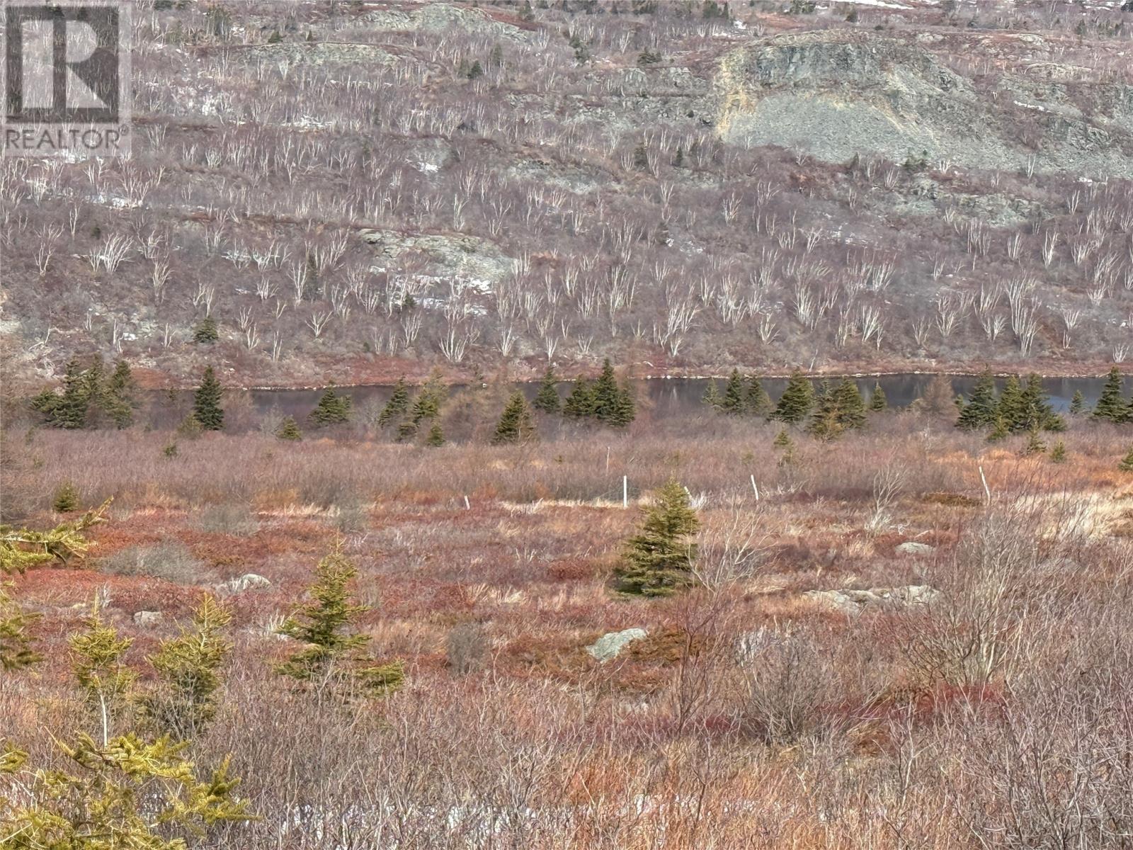 185-189 Bryants Cove Road, Upper Island Cove, Newfoundland & Labrador  A0A 4E0 - Photo 6 - 1296268