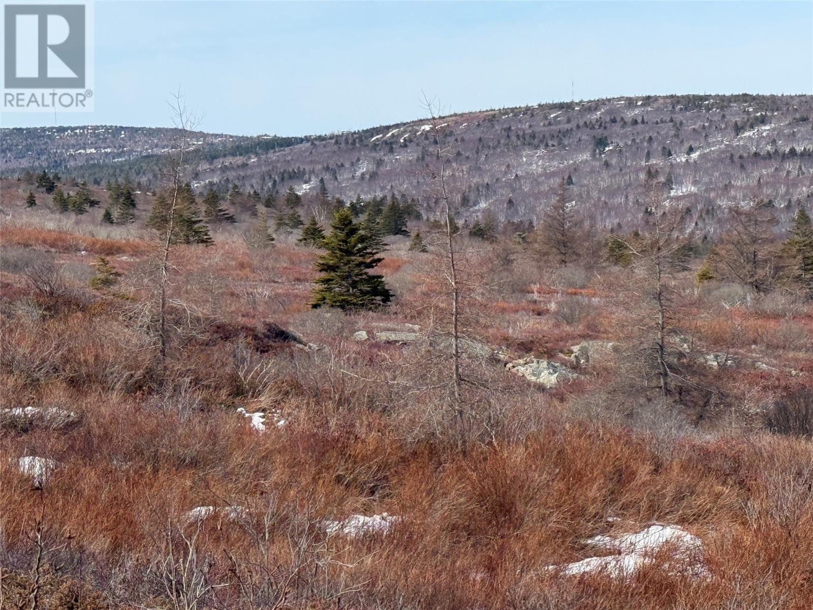 185-189 Bryants Cove Road, Upper Island Cove, Newfoundland & Labrador  A0A 4E0 - Photo 8 - 1296268