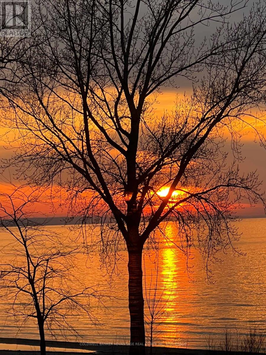 3 Northglen Avenue E, St. Catharines, Ontario  L2M 1B3 - Photo 47 - X13010768