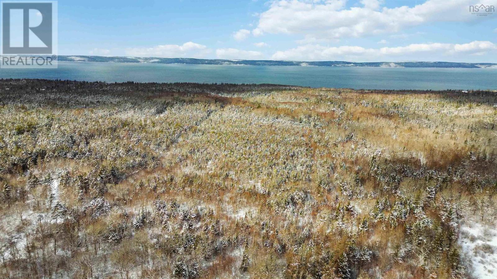 Lot Highway 101, Ashmore, Nova Scotia  B0W 3T0 - Photo 1 - 202602300