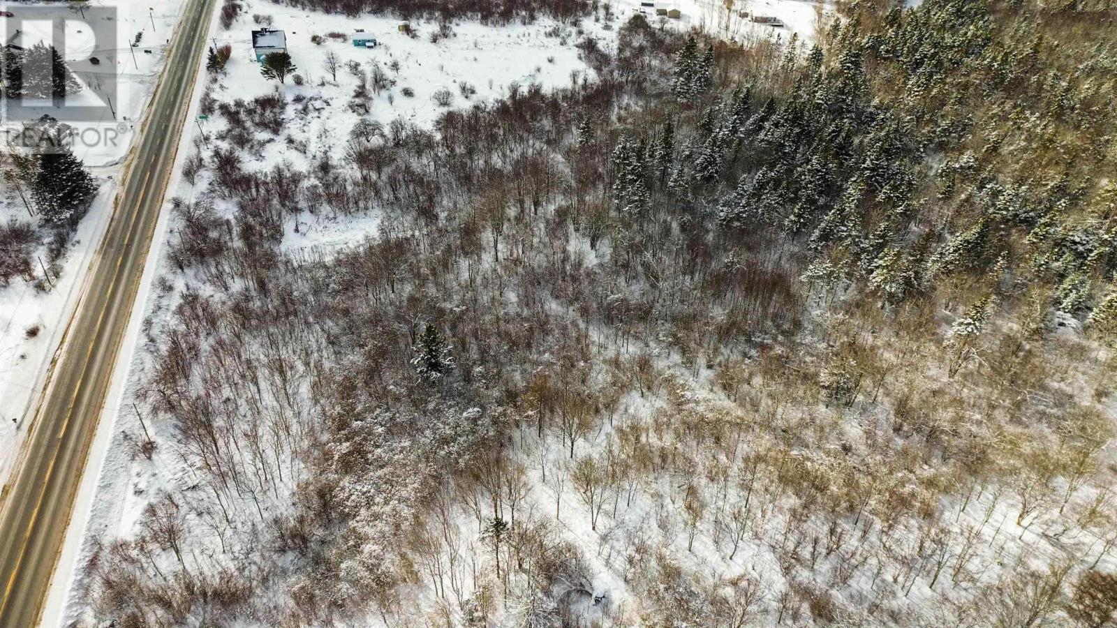 Lot Highway 101, Ashmore, Nova Scotia  B0W 3T0 - Photo 7 - 202602300