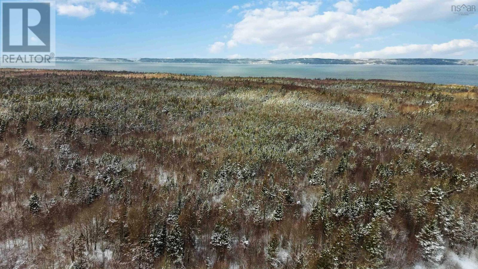 Lot Highway 101, Ashmore, Nova Scotia  B0W 3T0 - Photo 10 - 202602300