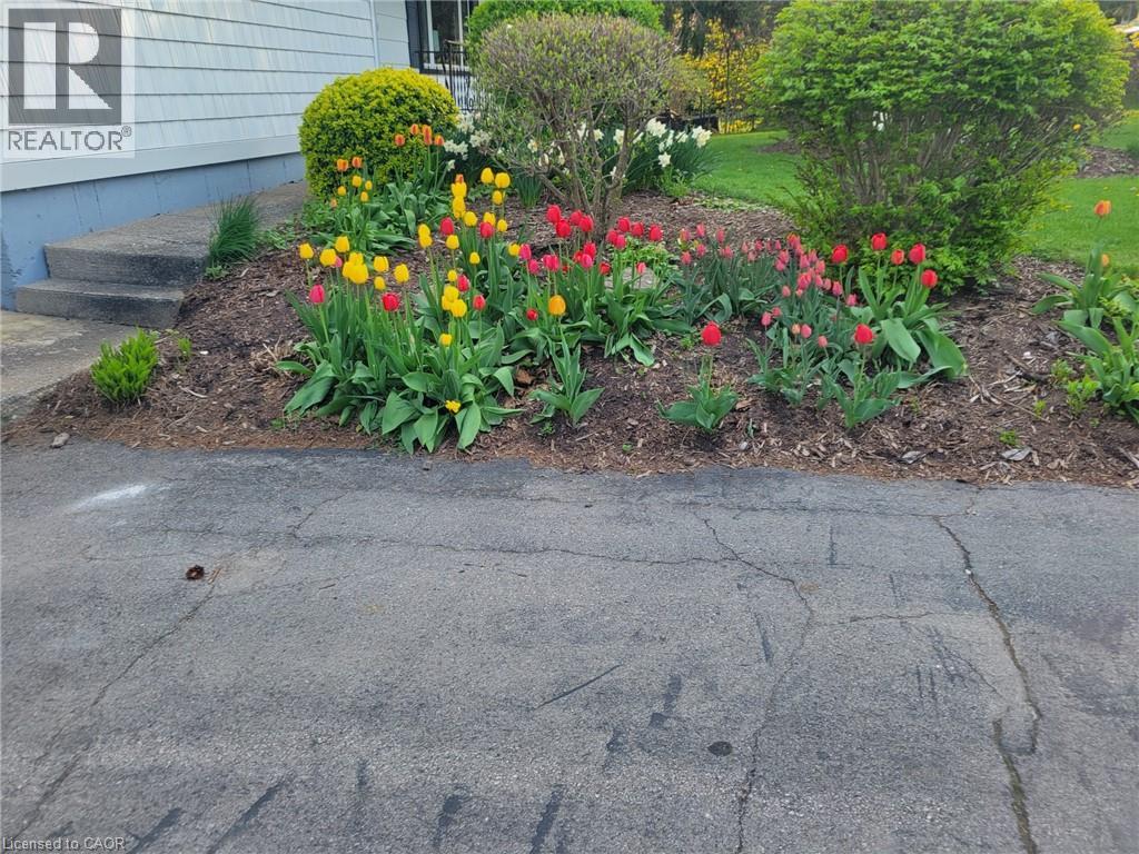 59 Washington Street E, Washington, Ontario  N0J 1B0 - Photo 41 - 40817660