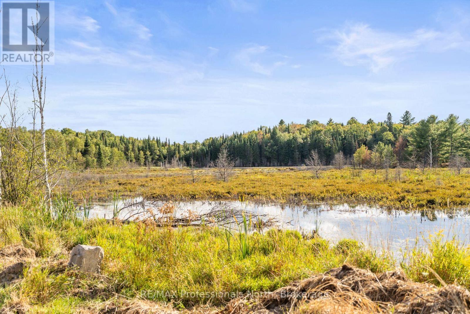 1127 Fallowfield Road, Dysart Et Al, Ontario  K0M 1S0 - Photo 40 - X13010842