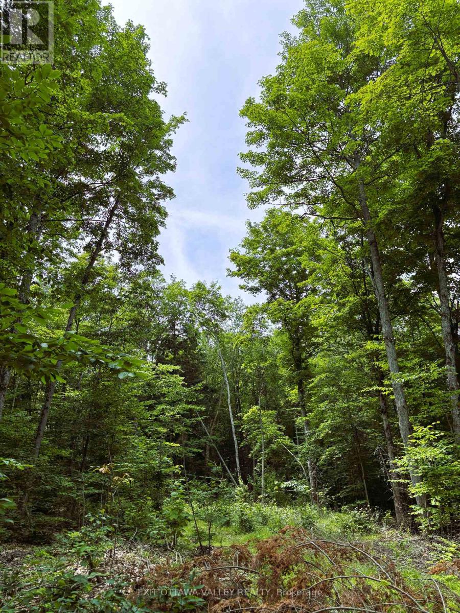 0 Peplinskie Road, Madawaska Valley, Ontario  K0J 1L0 - Photo 10 - X13010840