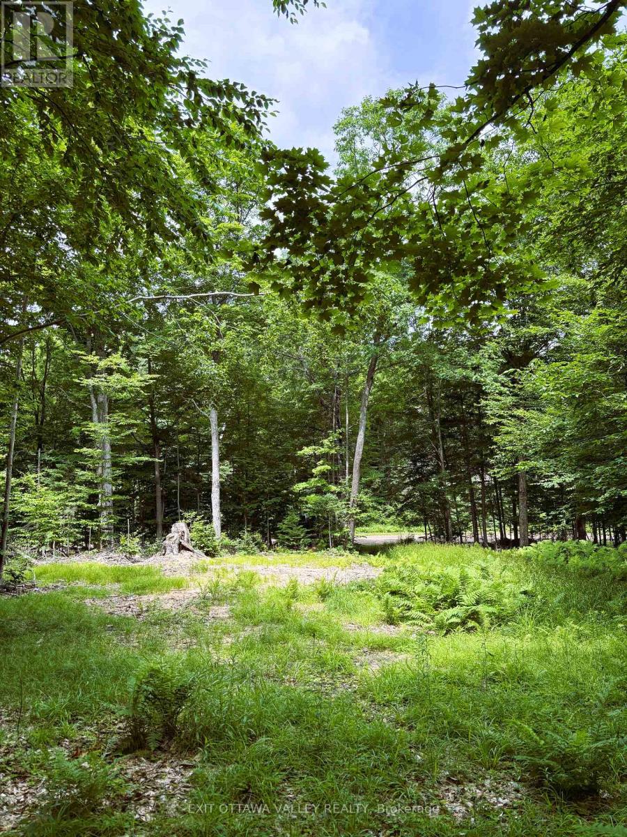 0 Peplinskie Road, Madawaska Valley, Ontario  K0J 1L0 - Photo 11 - X13010840