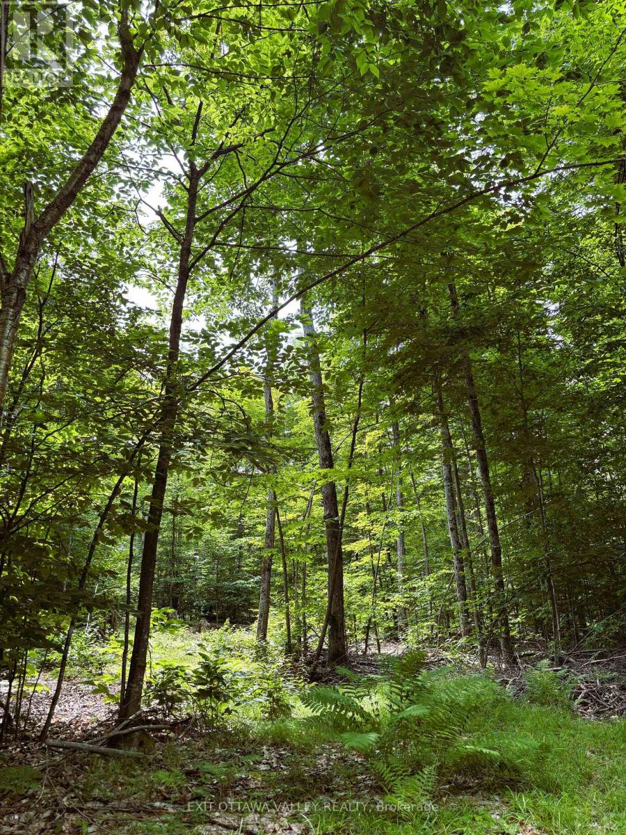 0 Peplinskie Road, Madawaska Valley, Ontario  K0J 1L0 - Photo 12 - X13010840