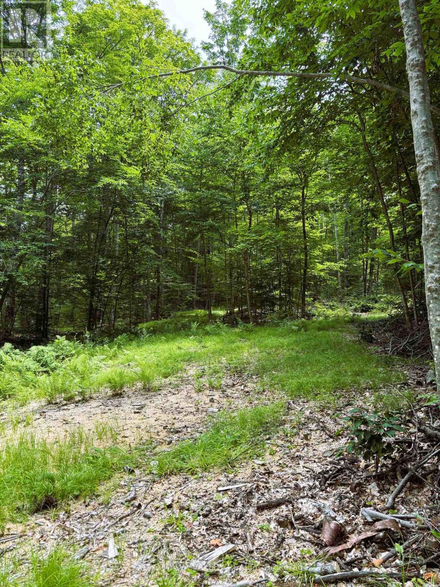 0 Peplinskie Road, Madawaska Valley, Ontario  K0J 1L0 - Photo 13 - X13010840