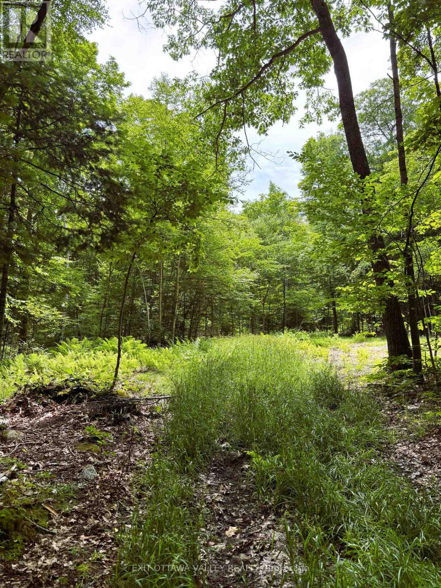 0 Peplinskie Road, Madawaska Valley, Ontario  K0J 1L0 - Photo 14 - X13010840