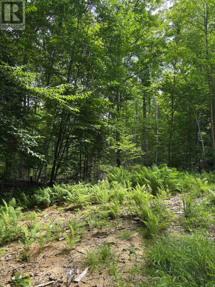 0 Peplinskie Road, Madawaska Valley, Ontario  K0J 1L0 - Photo 15 - X13010840