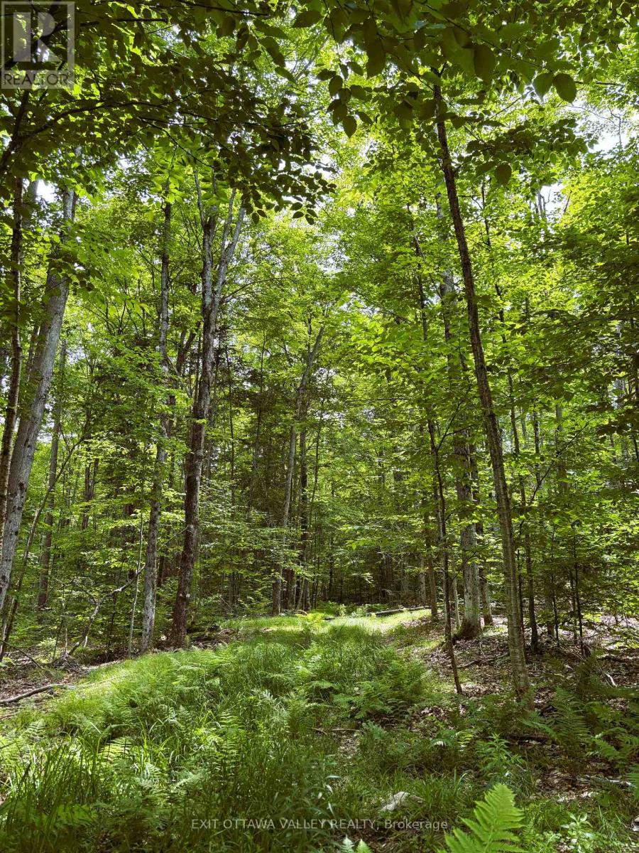 0 Peplinskie Road, Madawaska Valley, Ontario  K0J 1L0 - Photo 16 - X13010840