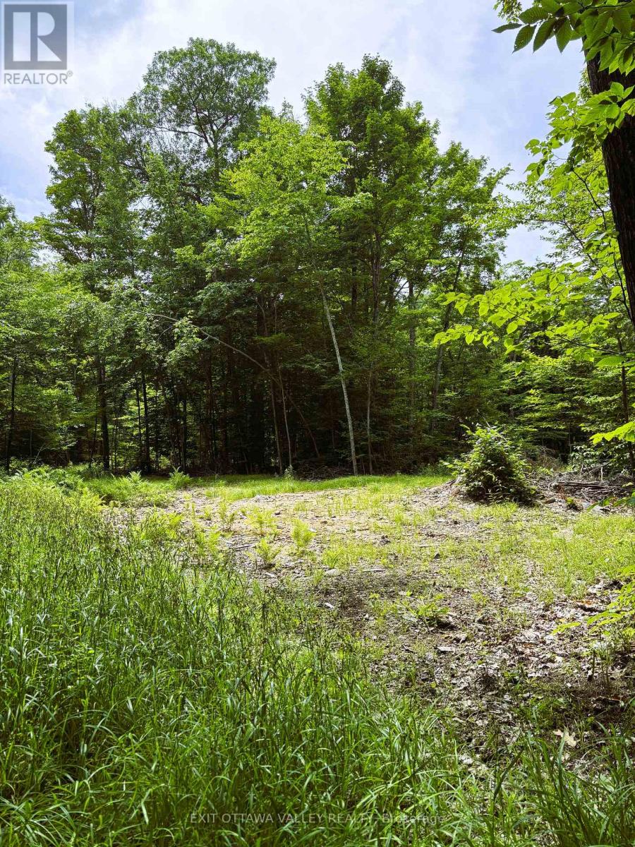 0 Peplinskie Road, Madawaska Valley, Ontario  K0J 1L0 - Photo 17 - X13010840