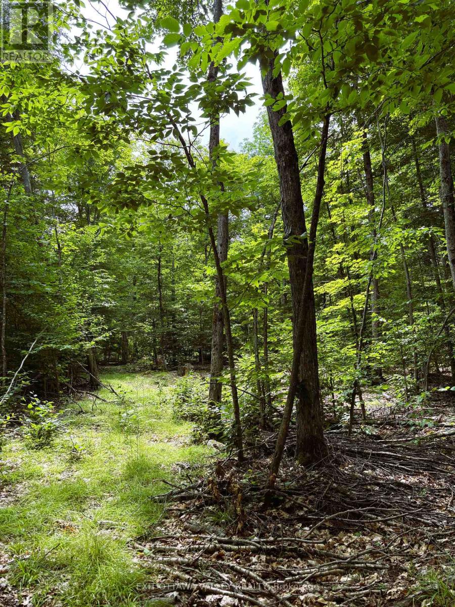 0 Peplinskie Road, Madawaska Valley, Ontario  K0J 1L0 - Photo 18 - X13010840