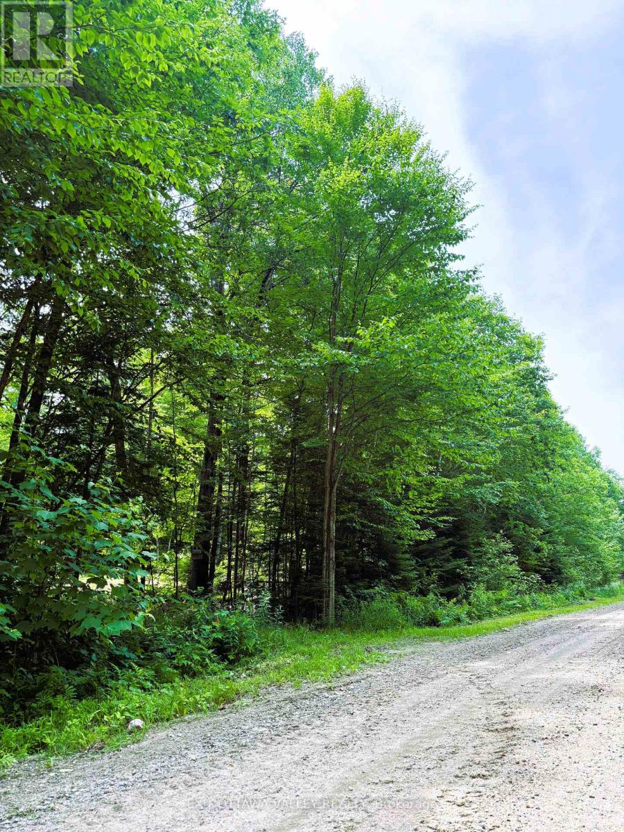 0 Peplinskie Road, Madawaska Valley, Ontario  K0J 1L0 - Photo 19 - X13010840