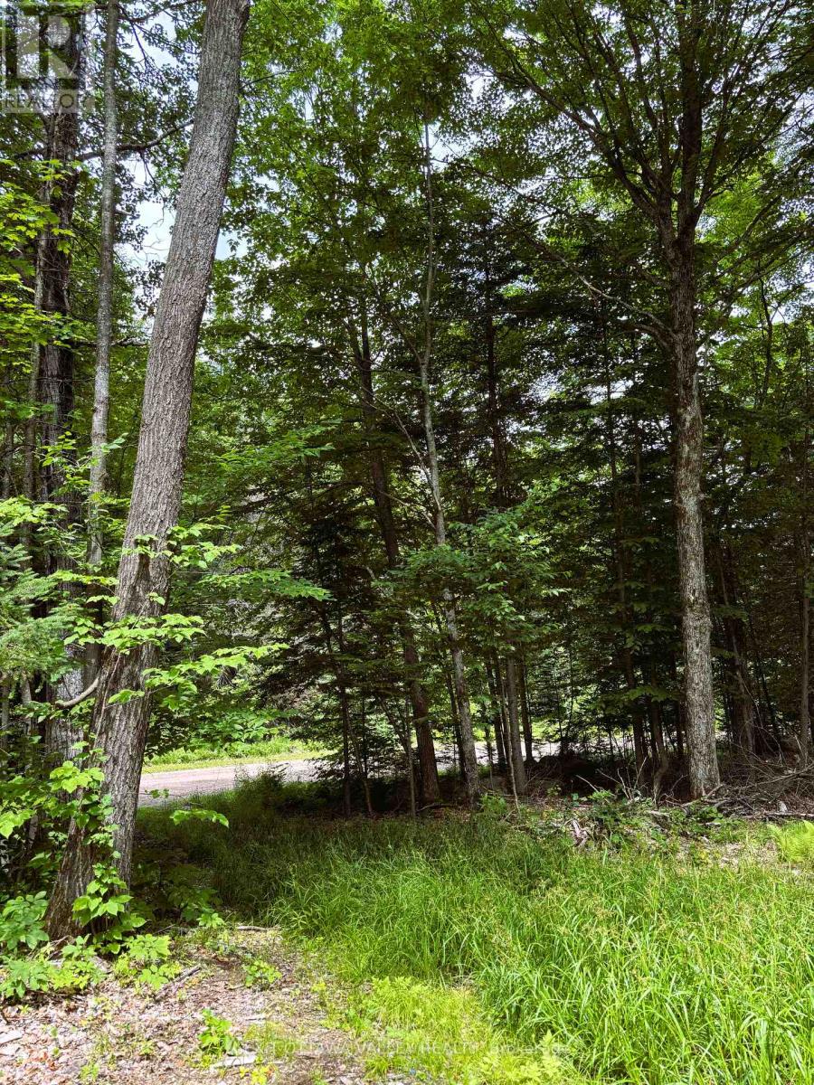 0 Peplinskie Road, Madawaska Valley, Ontario  K0J 1L0 - Photo 20 - X13010840