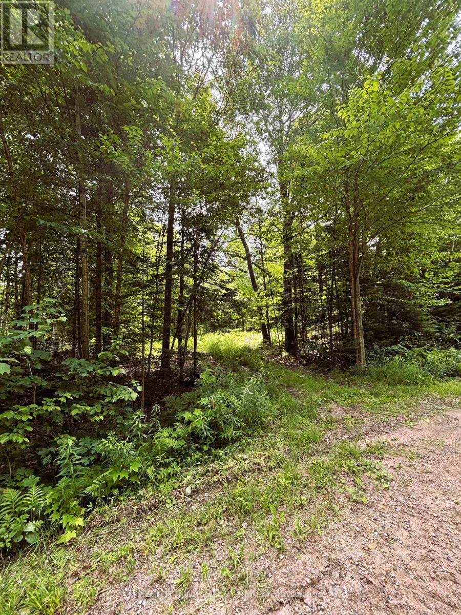 0 Peplinskie Road, Madawaska Valley, Ontario  K0J 1L0 - Photo 3 - X13010840