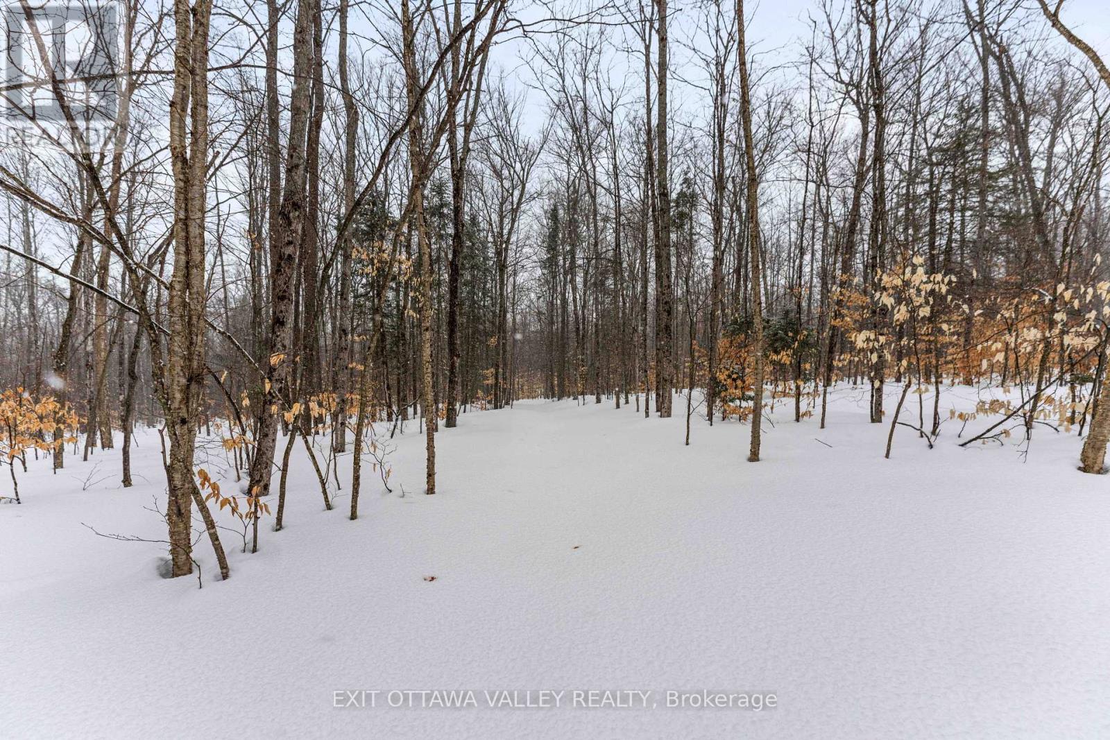0 Peplinskie Road, Madawaska Valley, Ontario  K0J 1L0 - Photo 4 - X13010840