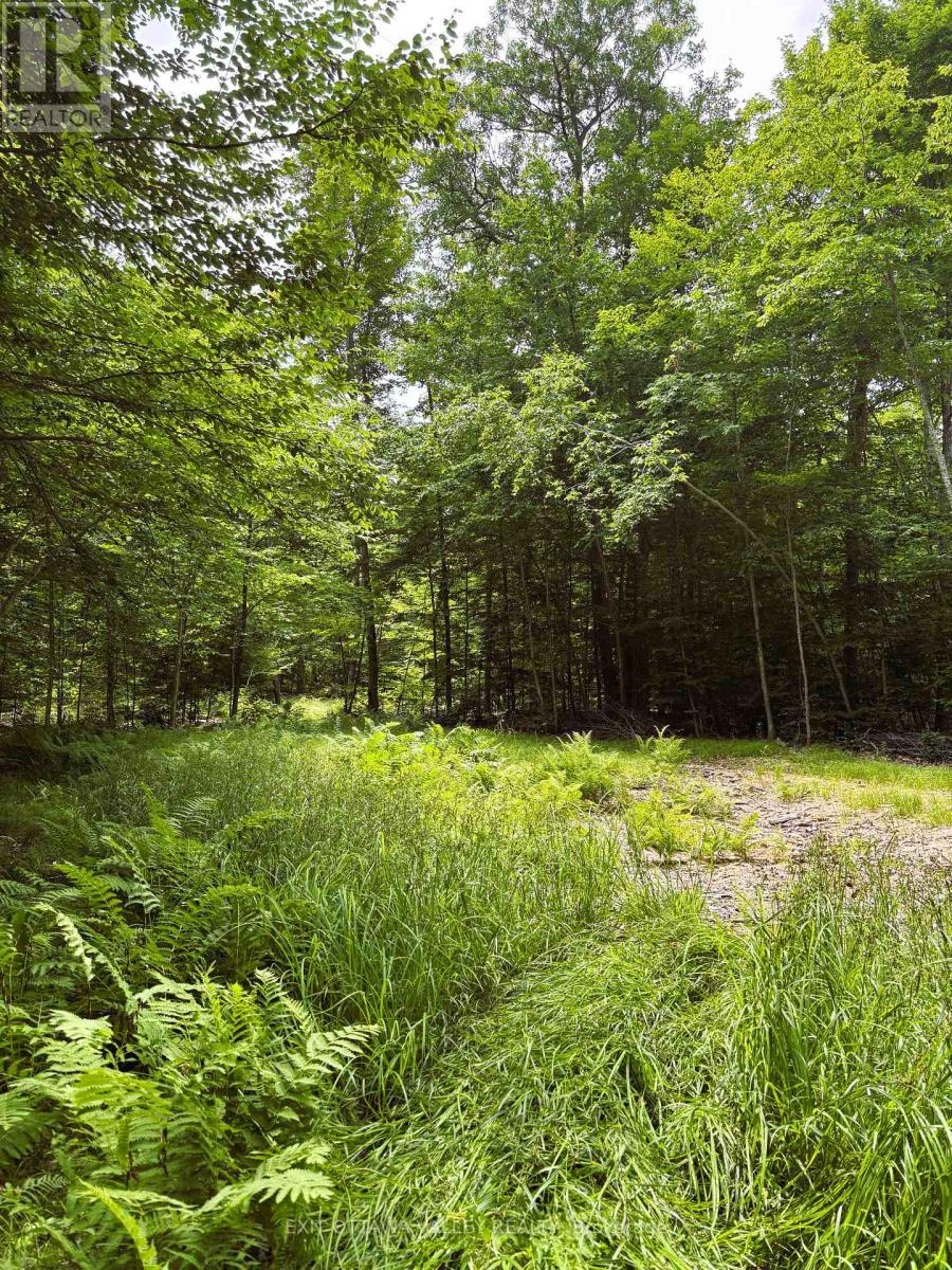 0 Peplinskie Road, Madawaska Valley, Ontario  K0J 1L0 - Photo 6 - X13010840