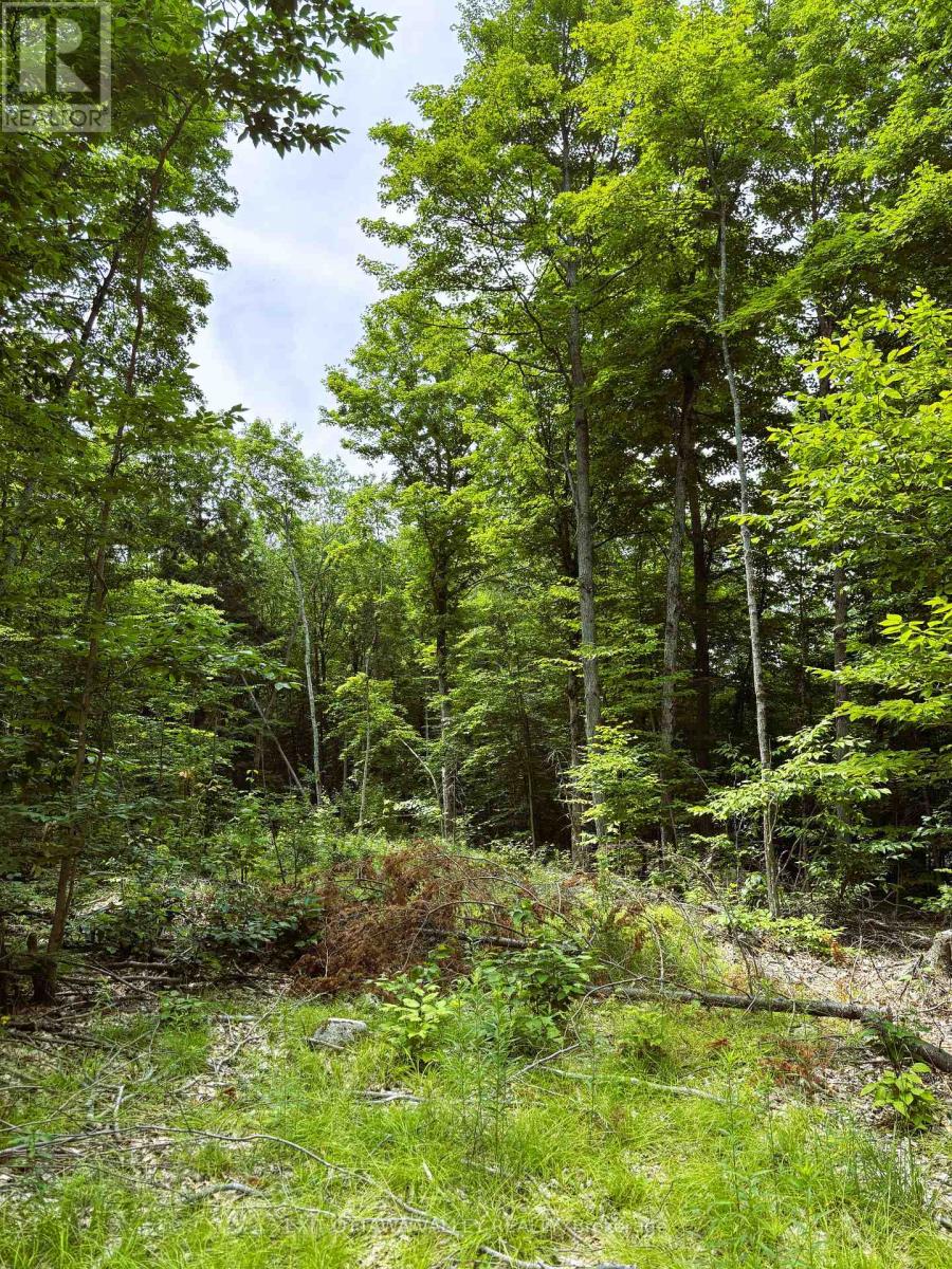 0 Peplinskie Road, Madawaska Valley, Ontario  K0J 1L0 - Photo 7 - X13010840