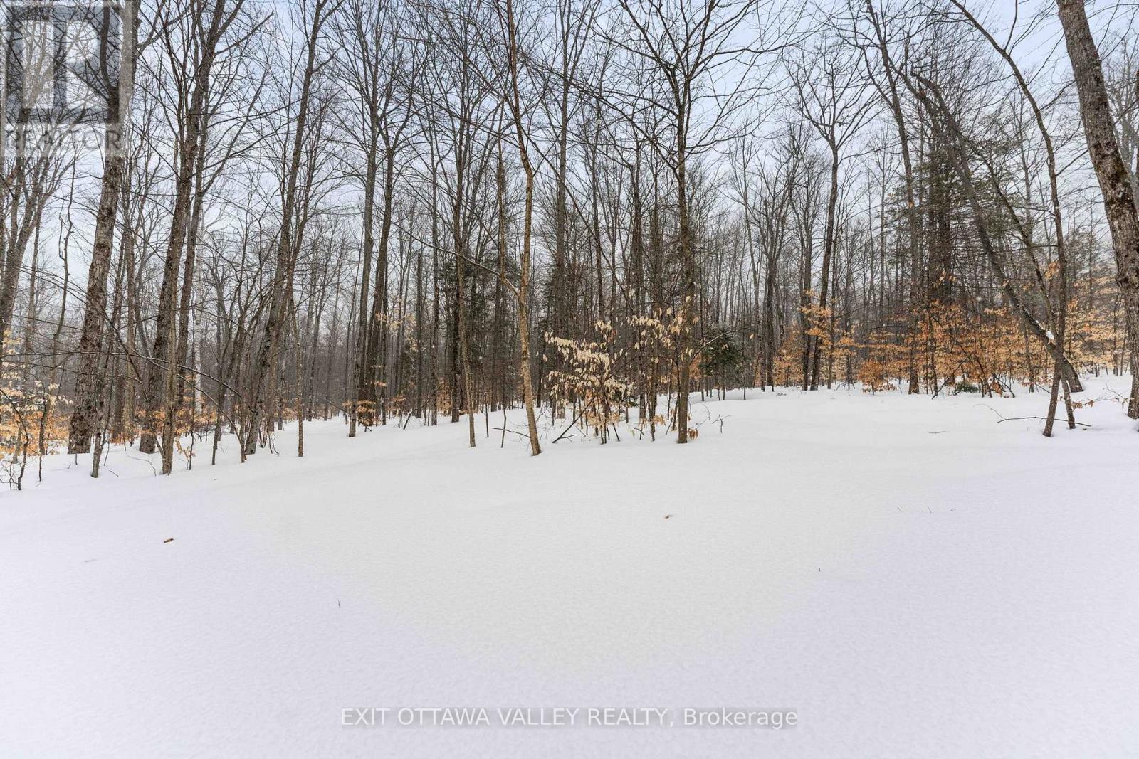 0 Peplinskie Road, Madawaska Valley, Ontario  K0J 1L0 - Photo 8 - X13010840