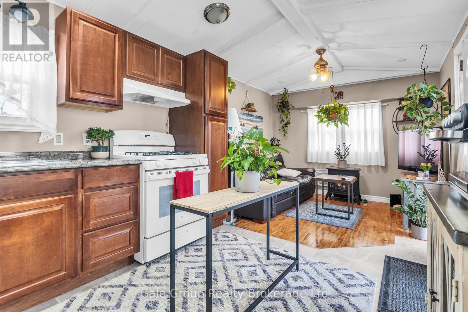 33 Pitt Street, Bayham, Ontario  N0J 1T0 - Photo 5 - X13010936