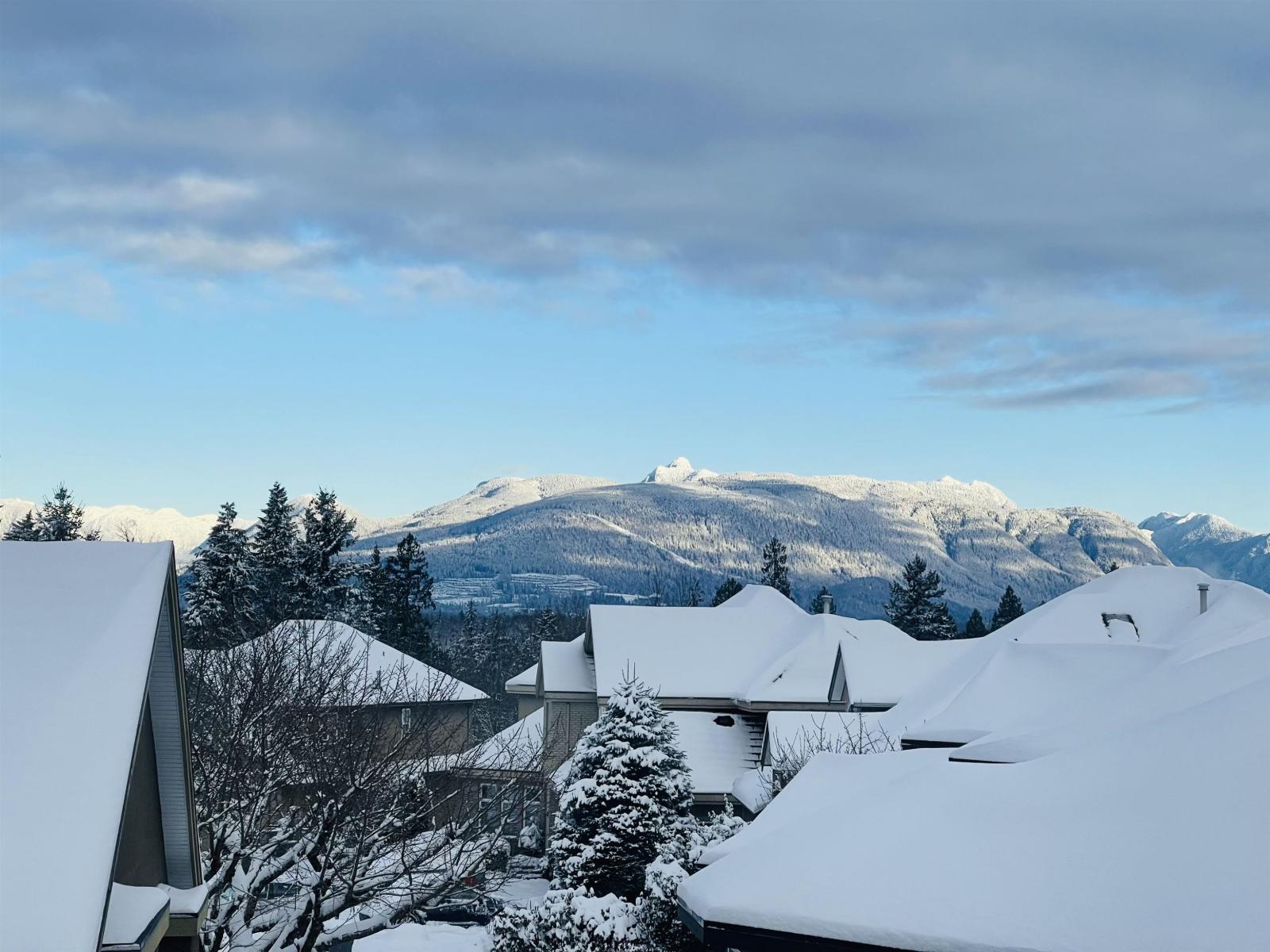 16995 104a Avenue, Surrey, British Columbia  V4N 3L9 - Photo 26 - R3111610