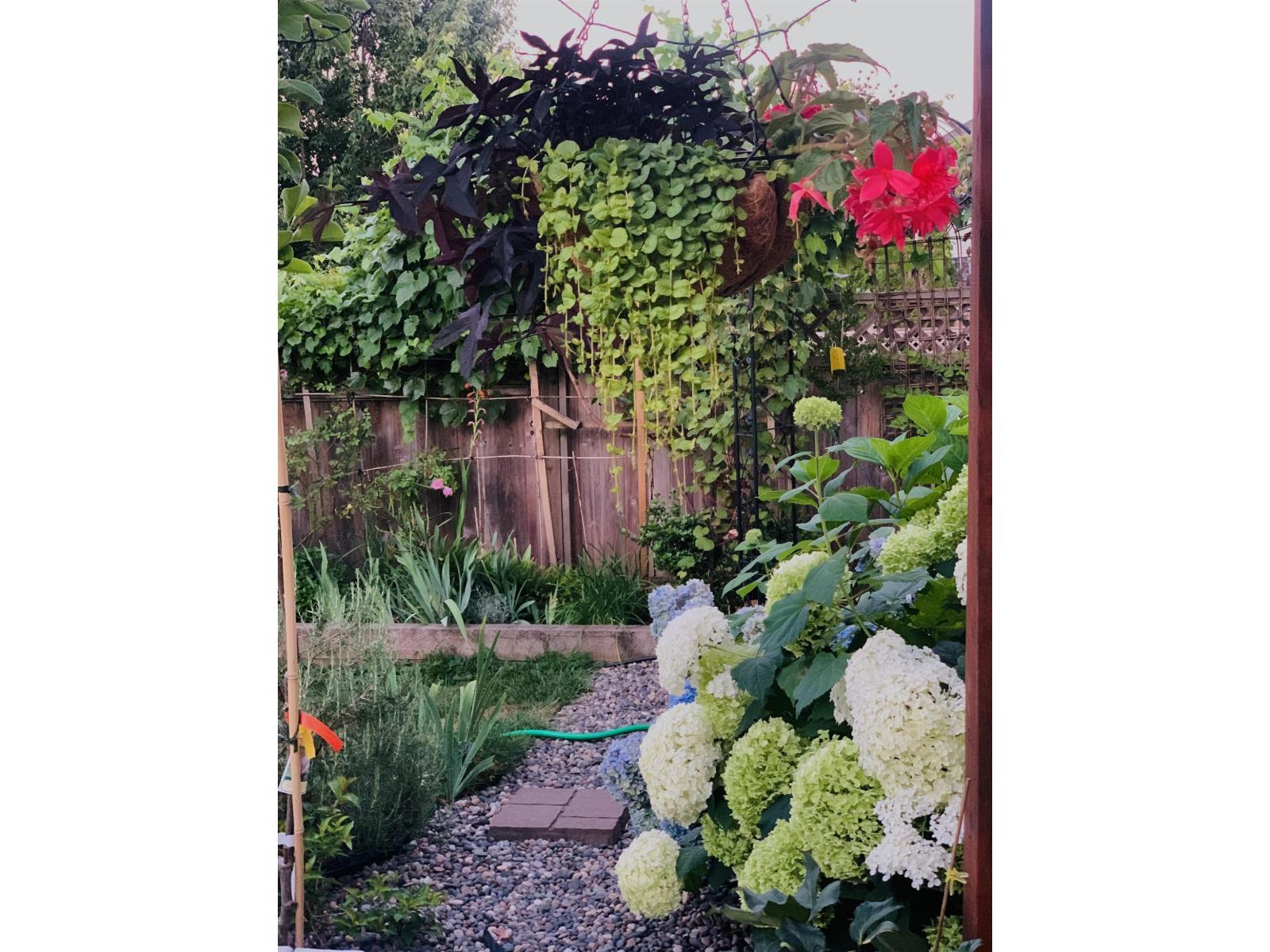 16995 104a Avenue, Surrey, British Columbia  V4N 3L9 - Photo 22 - R3111610