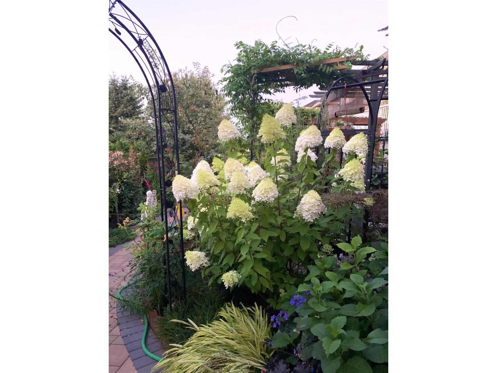 16995 104a Avenue, Surrey, British Columbia  V4N 3L9 - Photo 18 - R3111610