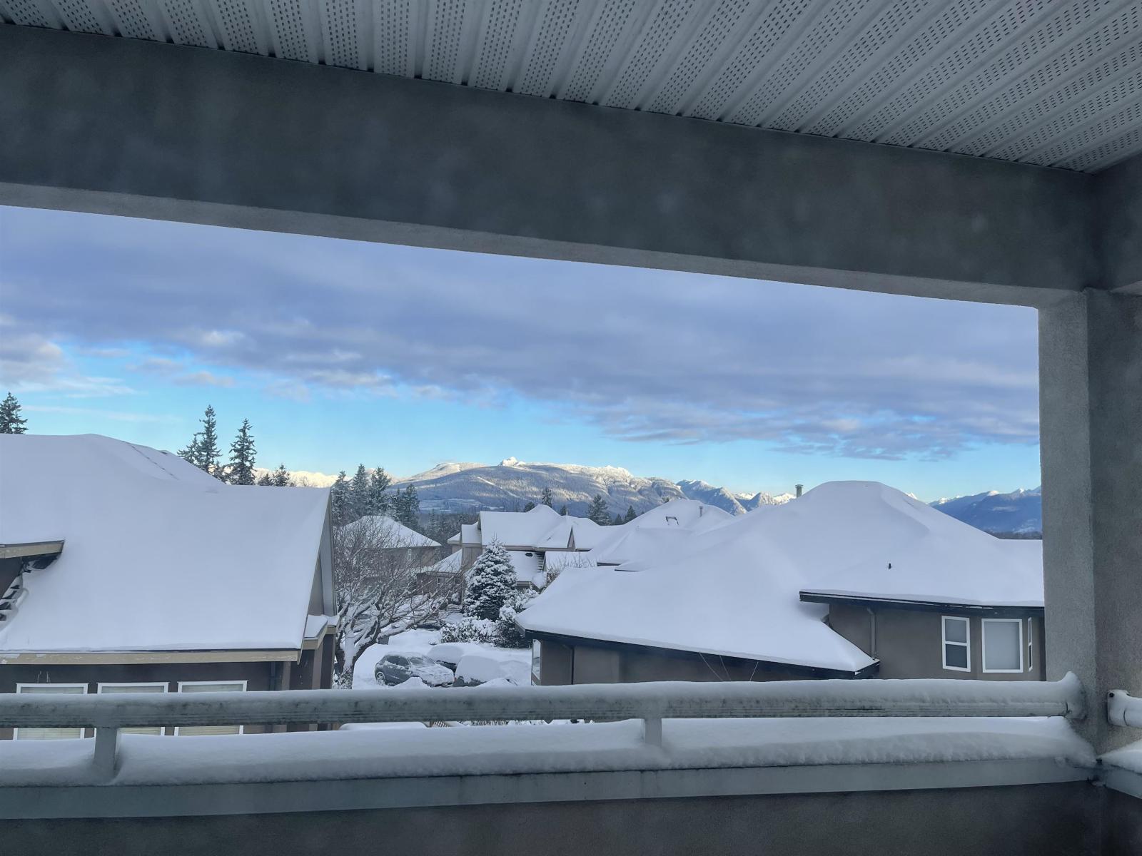 16995 104a Avenue, Surrey, British Columbia  V4N 3L9 - Photo 25 - R3111610