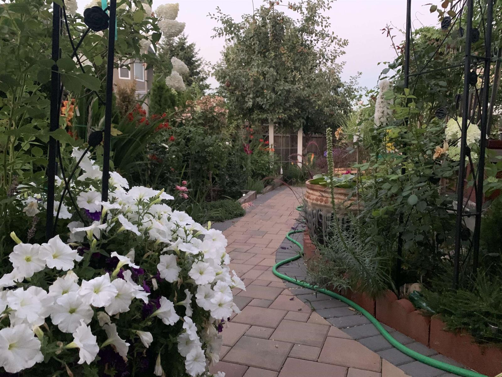 16995 104a Avenue, Surrey, British Columbia  V4N 3L9 - Photo 21 - R3111610