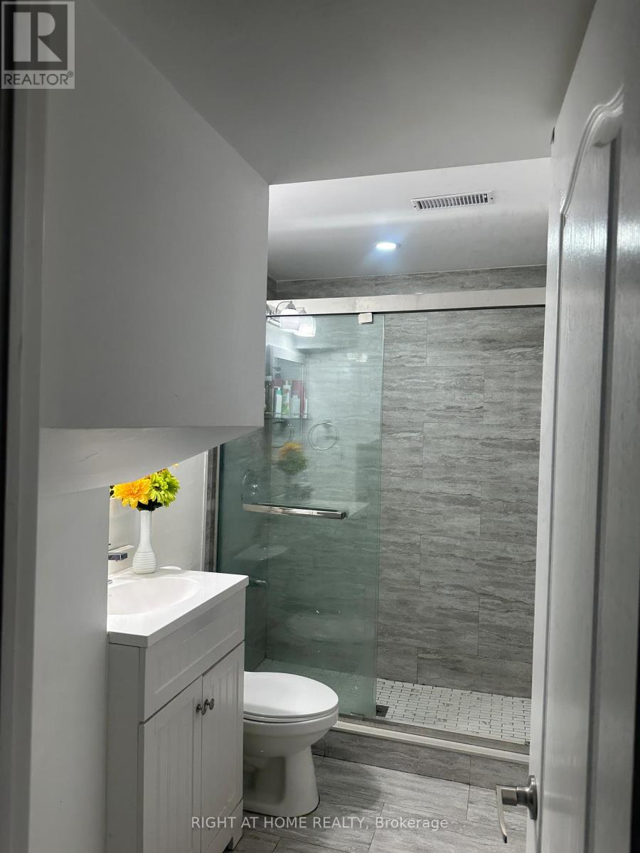 5950 Shelford Terrace, Mississauga, Ontario  L5M 6K3 - Photo 31 - W13010826