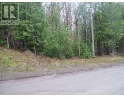 PTLT 37 TRENT VIEW DRIVE, Trent Hills, Ontario