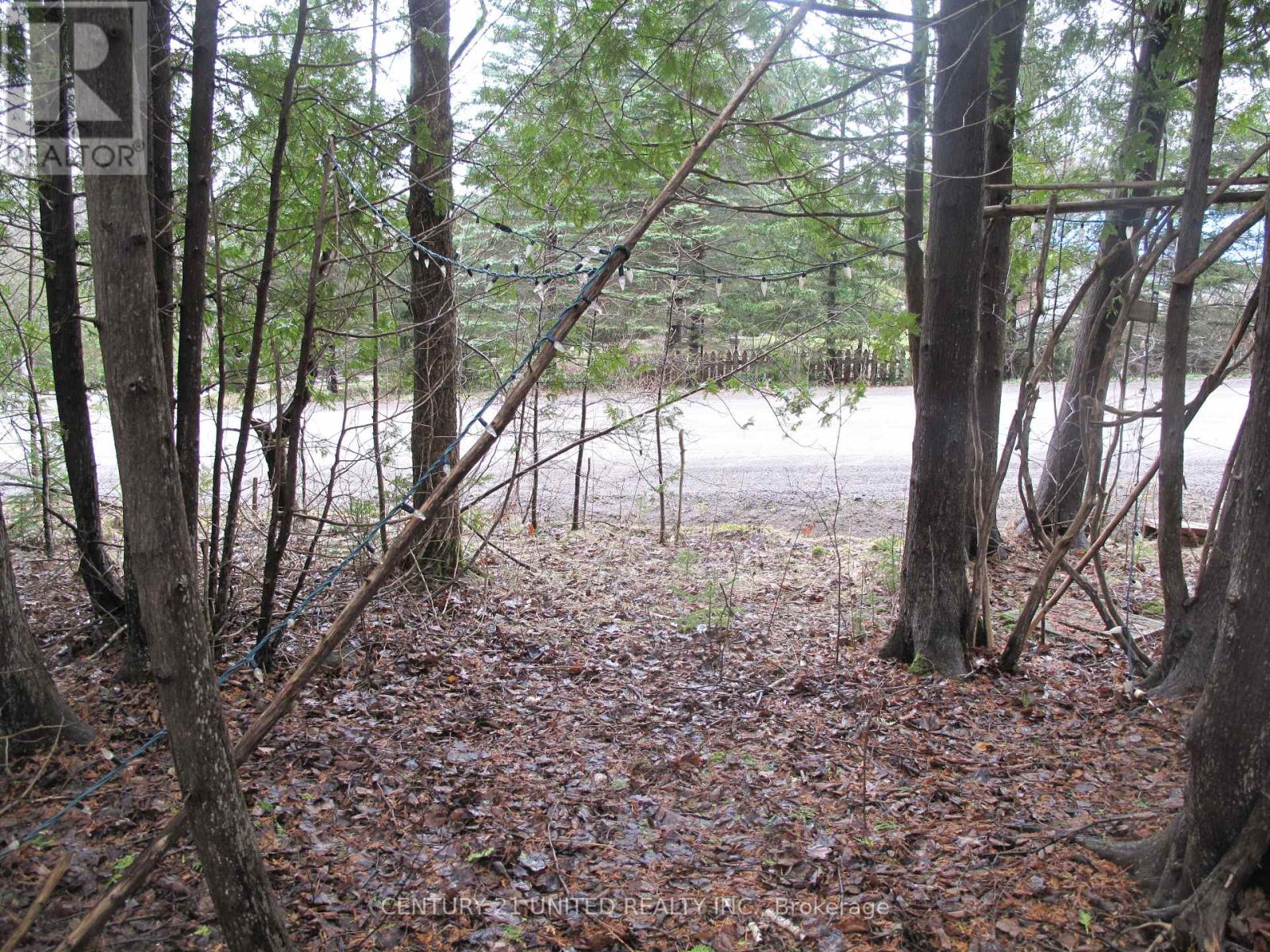 Ptlt 37 Trent View Drive, Trent Hills, Ontario  K0L 1Y0 - Photo 3 - X12637246