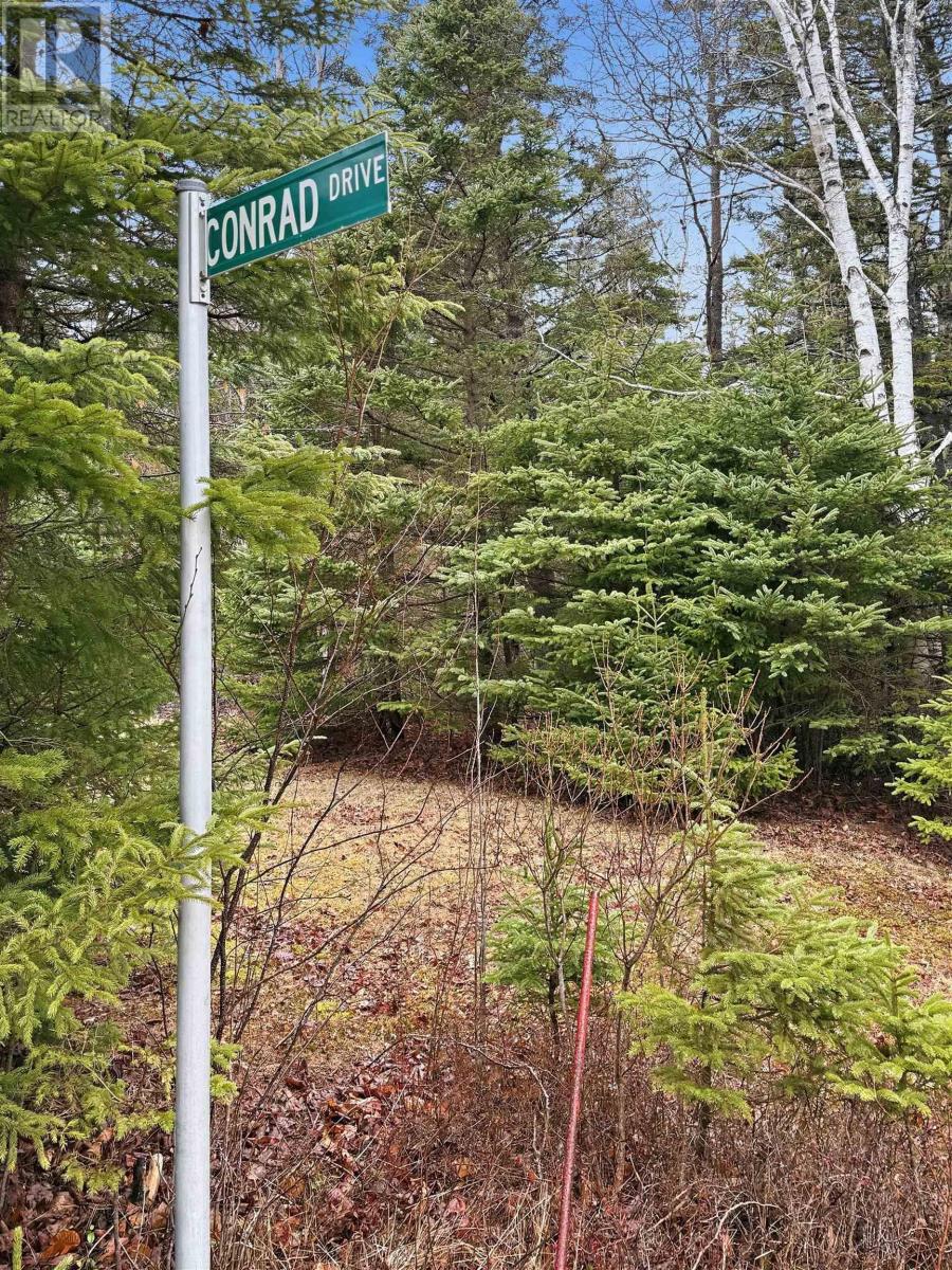 Lot Cottage Road, Bayswater, Nova Scotia  B0J 1T0 - Photo 5 - 202607740