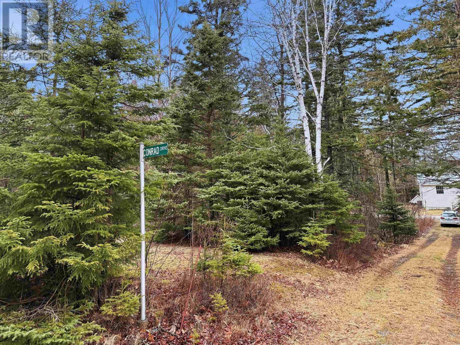 Lot Cottage Road, Bayswater, Nova Scotia  B0J 1T0 - Photo 6 - 202607740