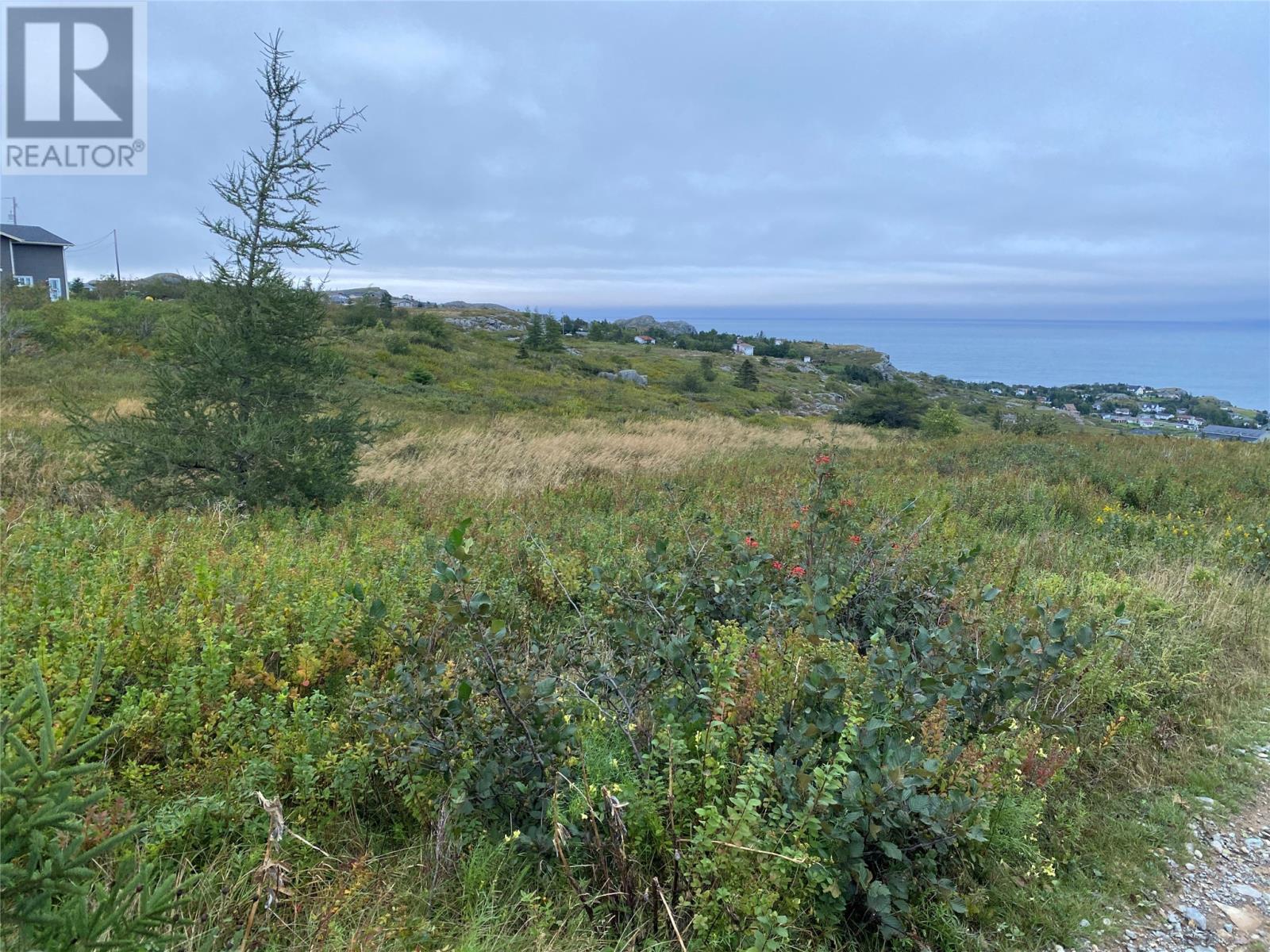 39-51 Dorset Street, Upper Island Cove, Newfoundland & Labrador  A0A 4E0 - Photo 13 - 1296266