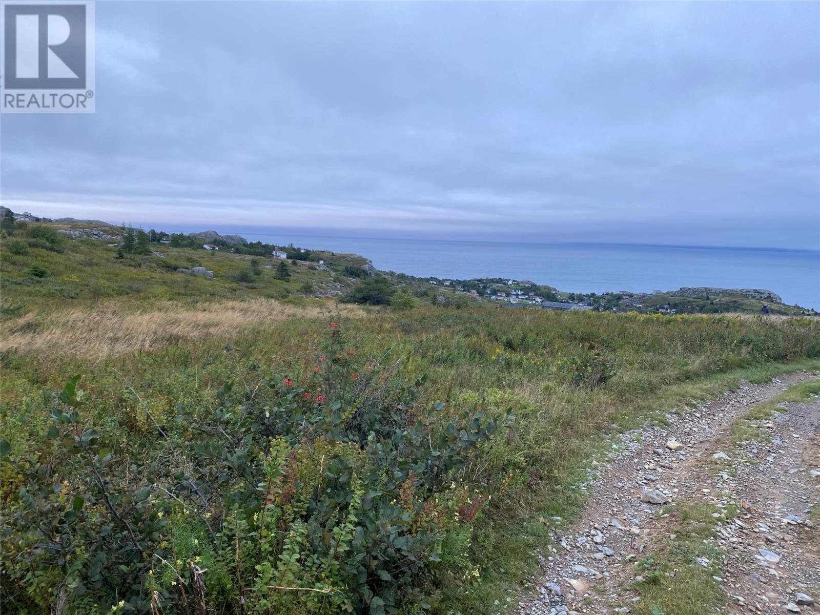 39-51 Dorset Street, Upper Island Cove, Newfoundland & Labrador  A0A 4E0 - Photo 14 - 1296266