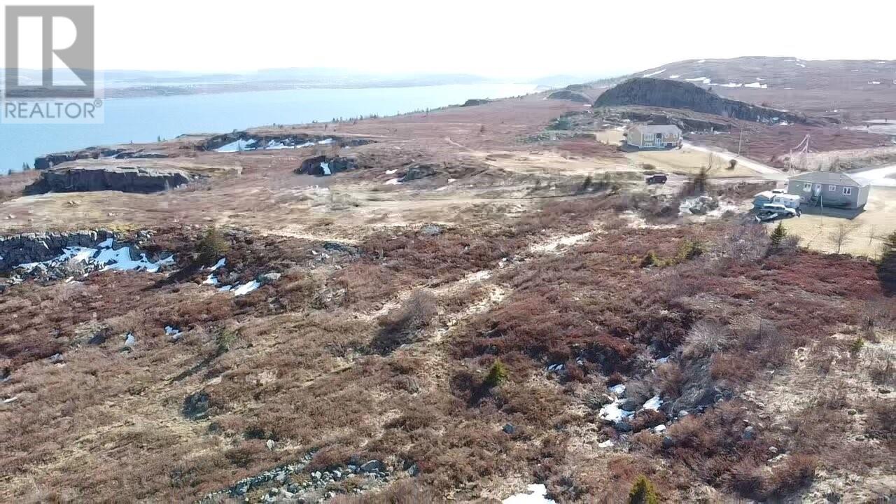 39-51 Dorset Street, Upper Island Cove, Newfoundland & Labrador  A0A 4E0 - Photo 15 - 1296266