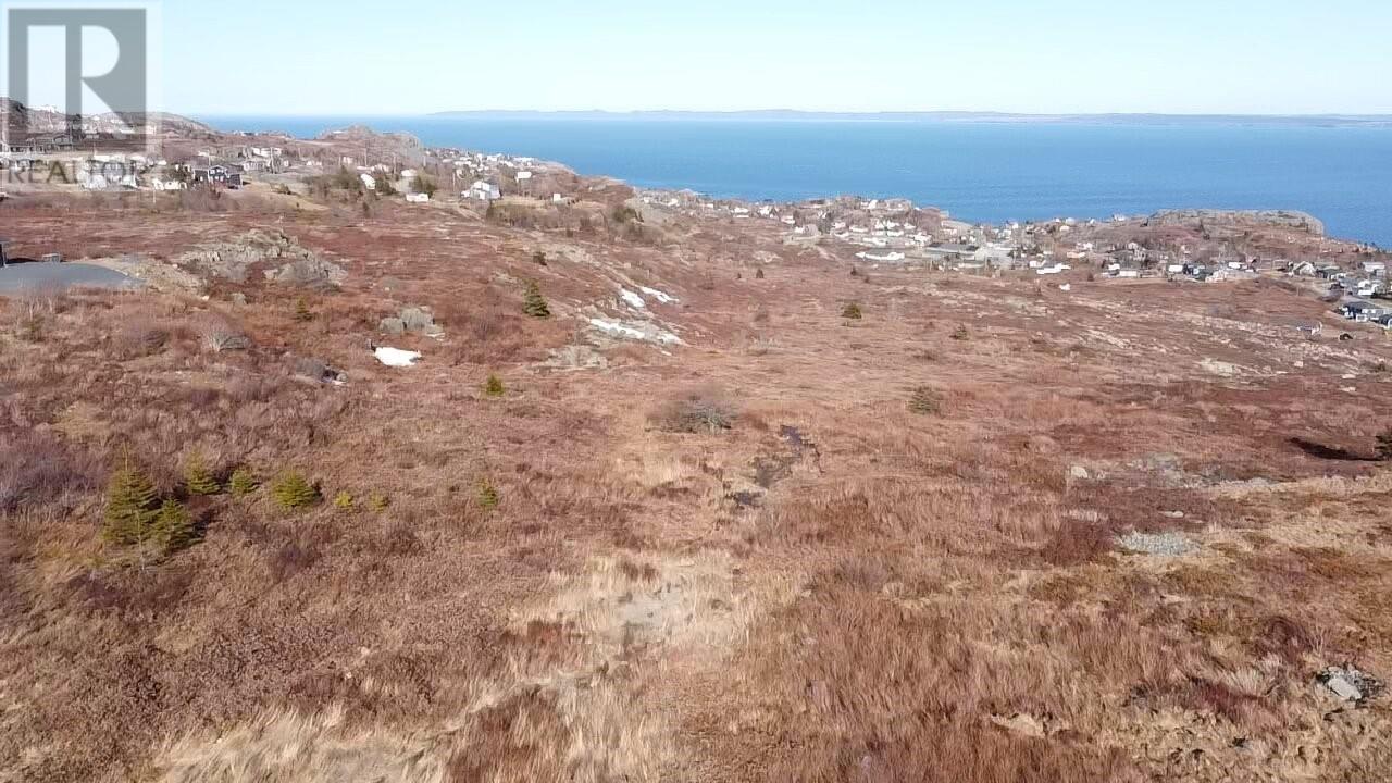 39-51 Dorset Street, Upper Island Cove, Newfoundland & Labrador  A0A 4E0 - Photo 18 - 1296266