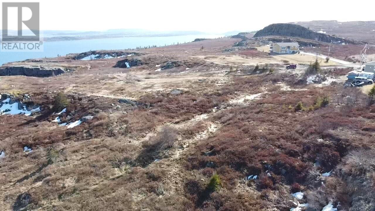 39-51 Dorset Street, Upper Island Cove, Newfoundland & Labrador  A0A 4E0 - Photo 19 - 1296266