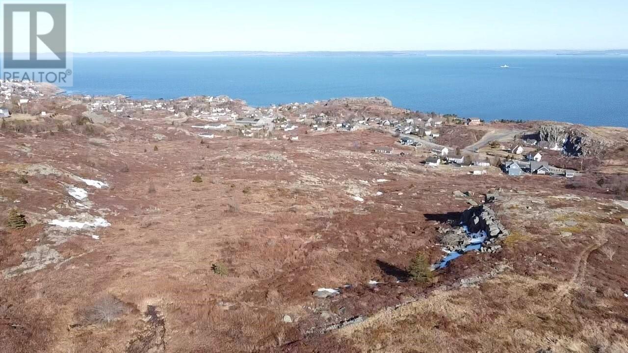 39-51 Dorset Street, Upper Island Cove, Newfoundland & Labrador  A0A 4E0 - Photo 21 - 1296266