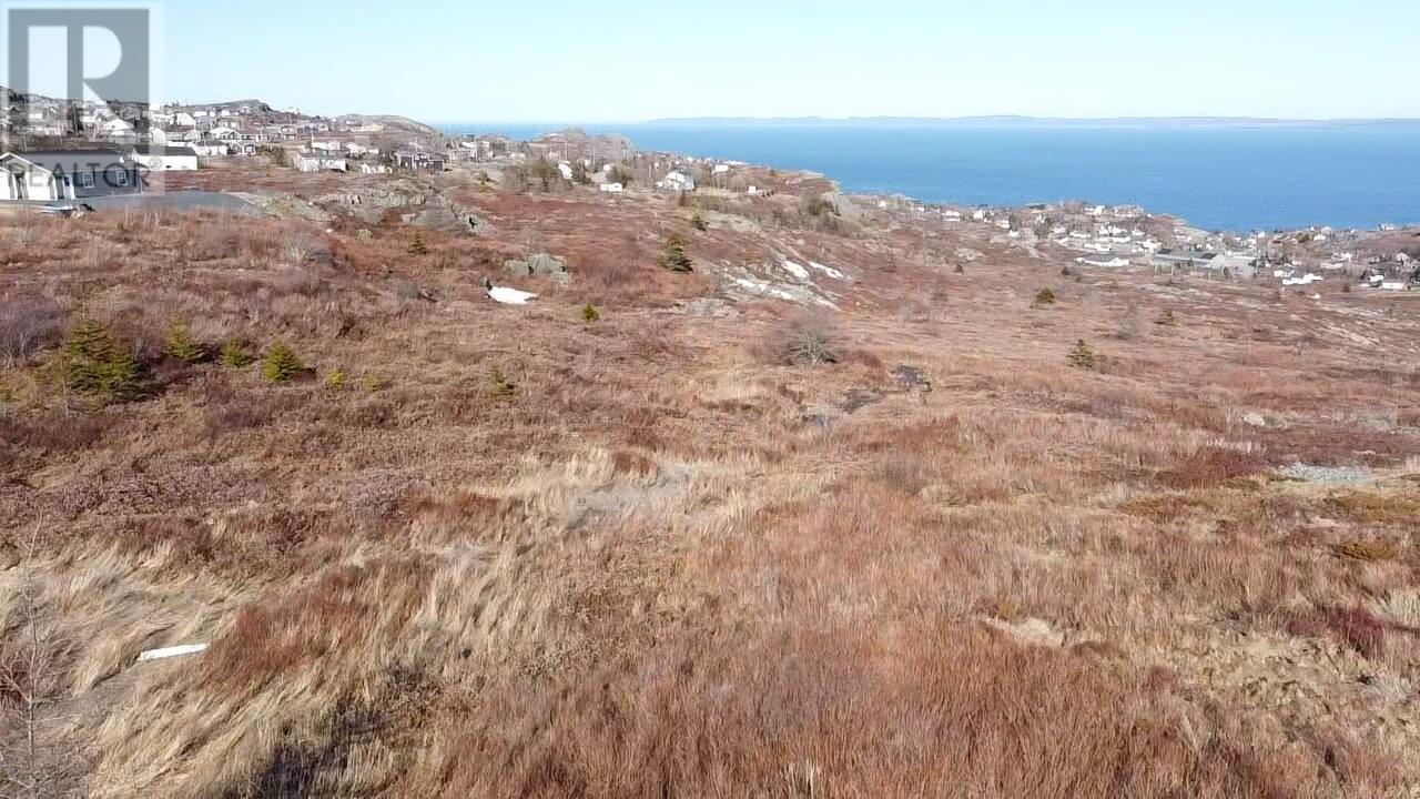 39-51 Dorset Street, Upper Island Cove, Newfoundland & Labrador  A0A 4E0 - Photo 22 - 1296266