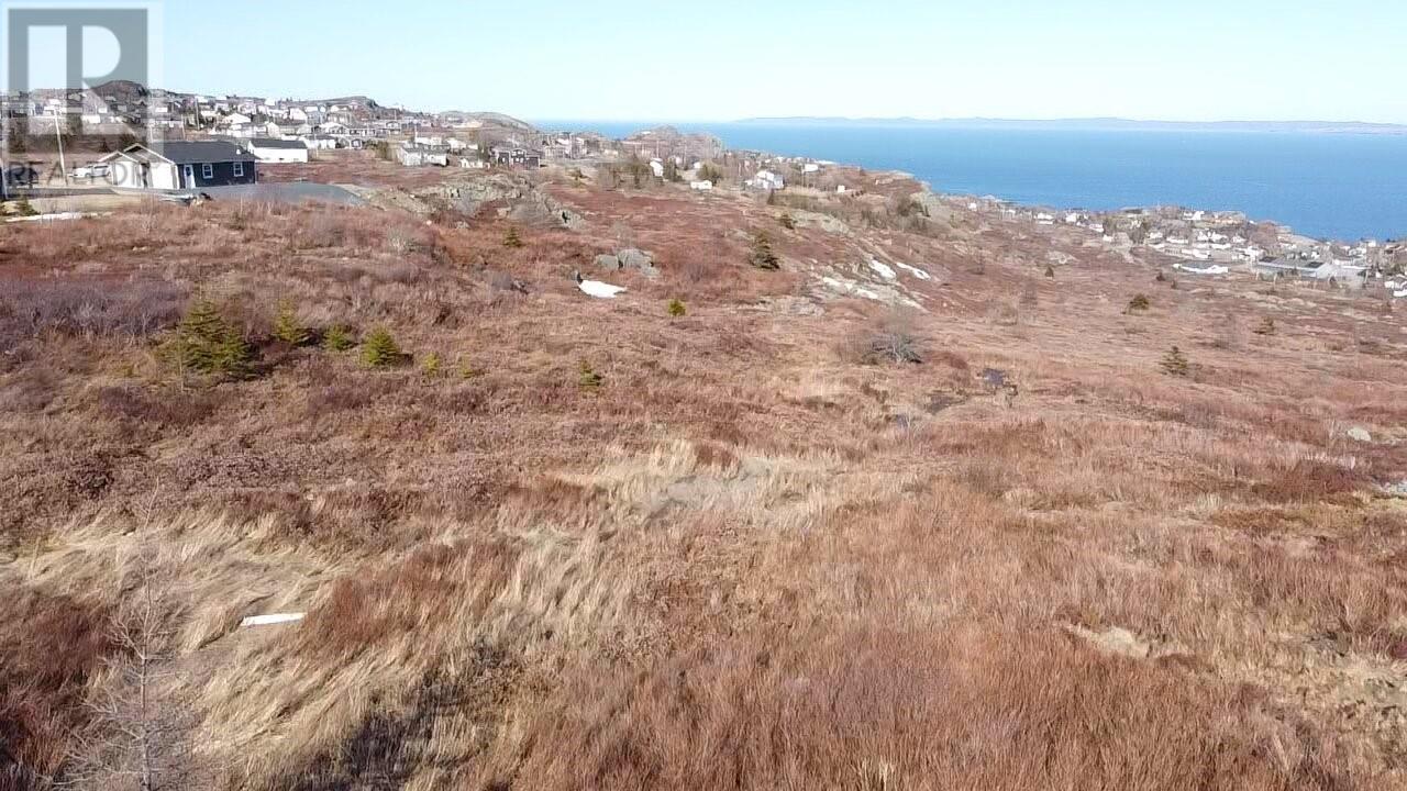 39-51 Dorset Street, Upper Island Cove, Newfoundland & Labrador  A0A 4E0 - Photo 29 - 1296266