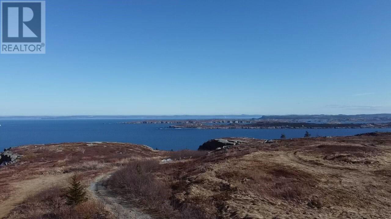 39-51 Dorset Street, Upper Island Cove, Newfoundland & Labrador  A0A 4E0 - Photo 3 - 1296266