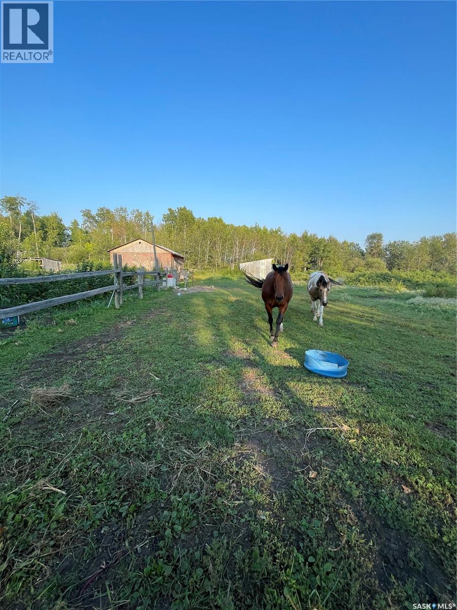 35 Acres South Hudson Bay, Hudson Bay Rm No. 394, Saskatchewan  S0E 0Y0 - Photo 42 - SK033169