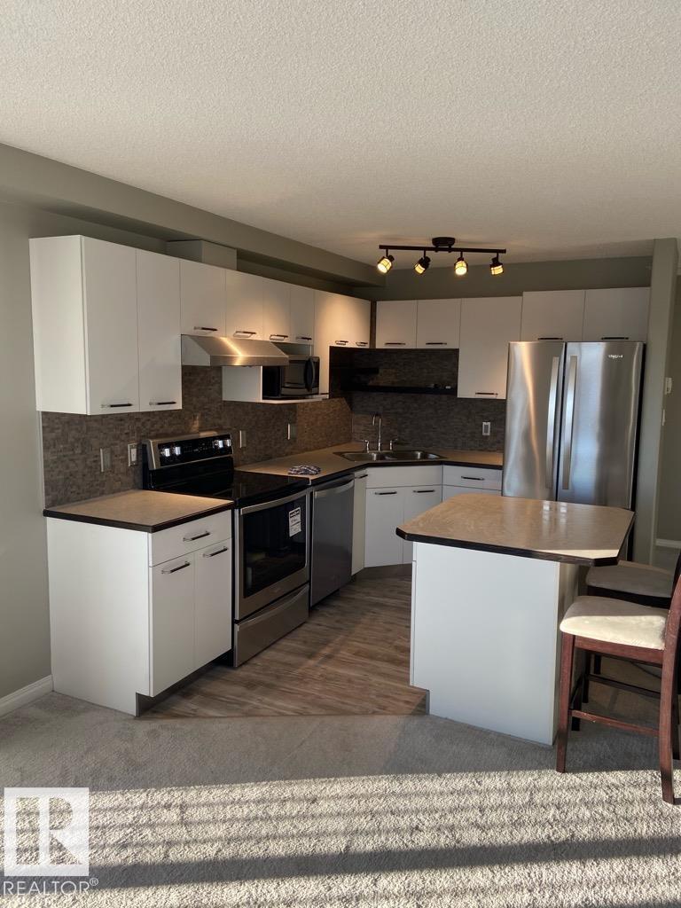 #509 11325 83 St Nw, Edmonton, Alberta  T5B 4W5 - Photo 2 - E4482032